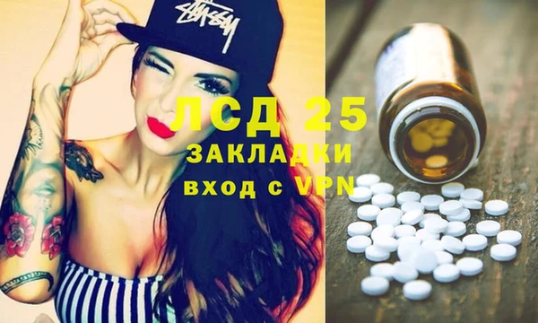 прущие грибы Алзамай