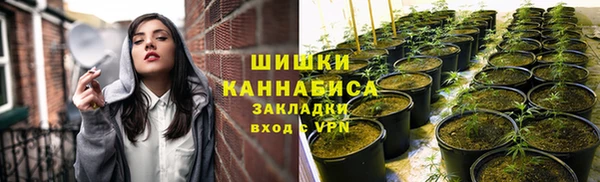 стаф Абаза
