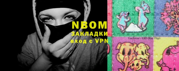 стаф Абаза