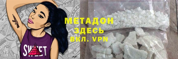 прущие грибы Алзамай