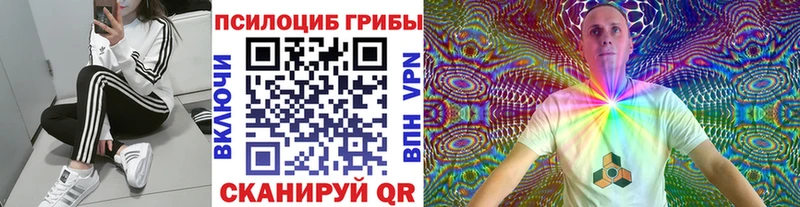 купить   Звенигород  MEGA маркетплейс  Псилоцибиновые грибы Psilocybe 